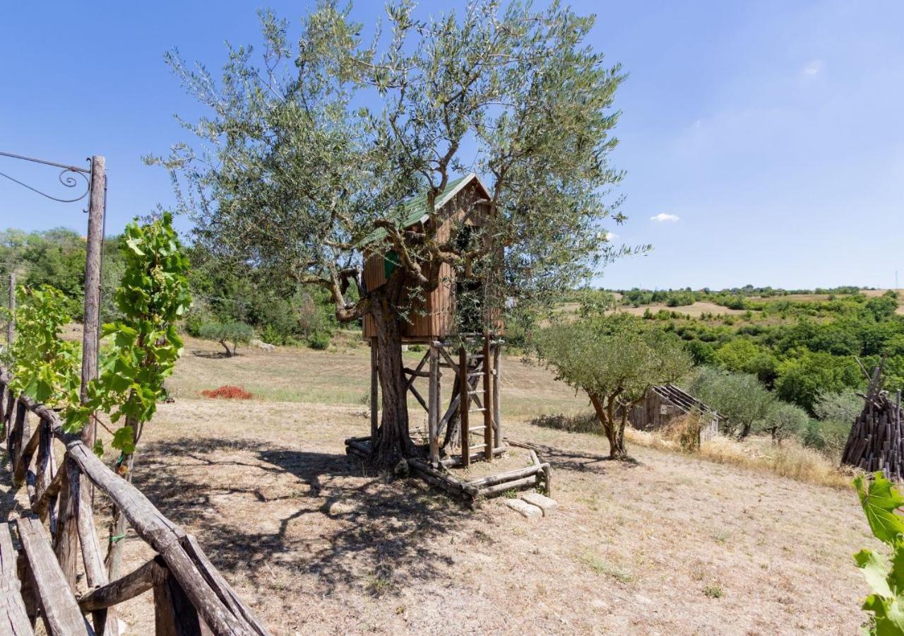 Agriturismo Torre Gialluise Gesualdo 外观 照片