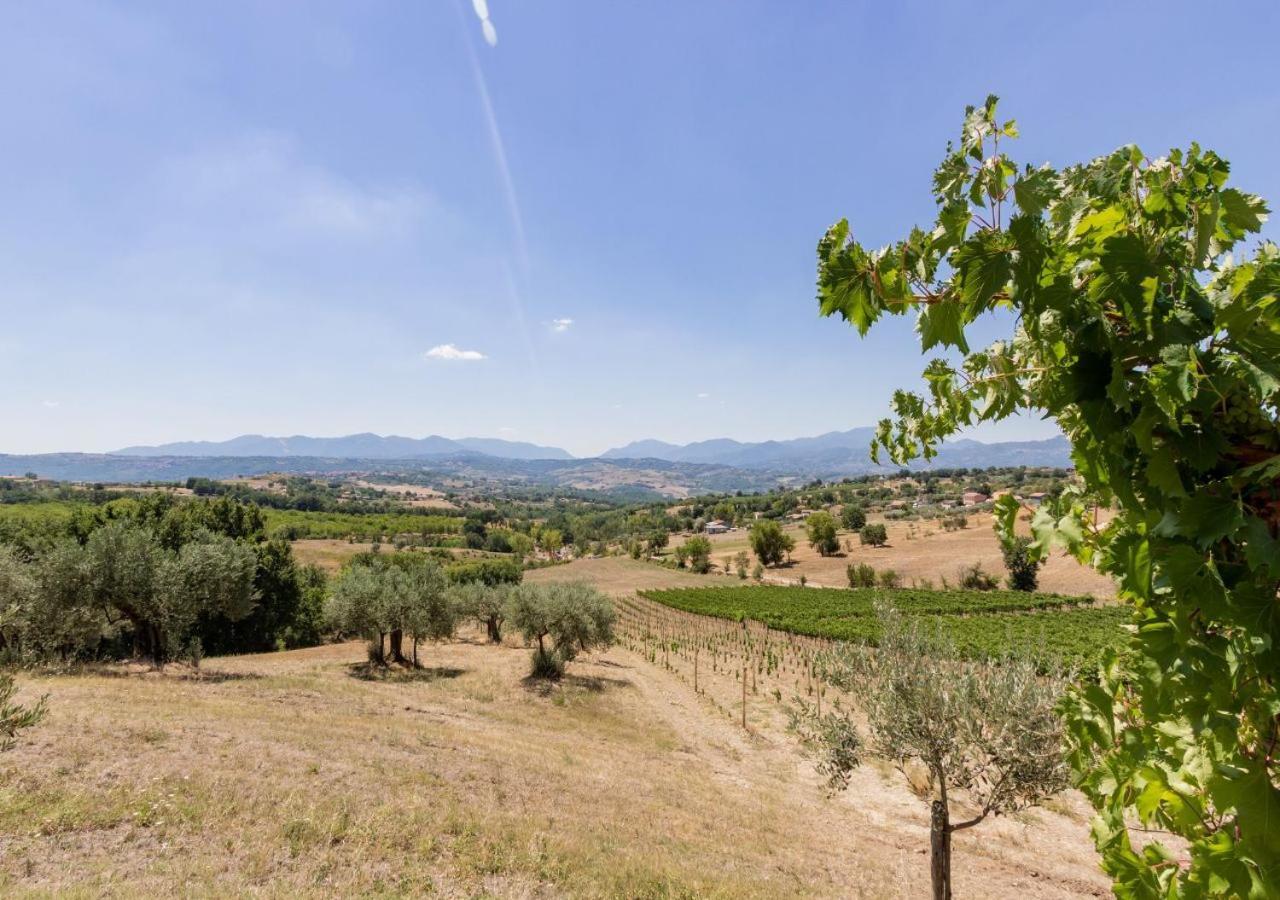 Agriturismo Torre Gialluise Gesualdo 外观 照片